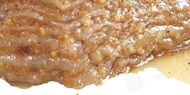 Otkrijte tajnu savršene Domaće Baklave – kraljice svih kolača!